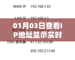 实时查看IP地址，轻松掌握网络动态
