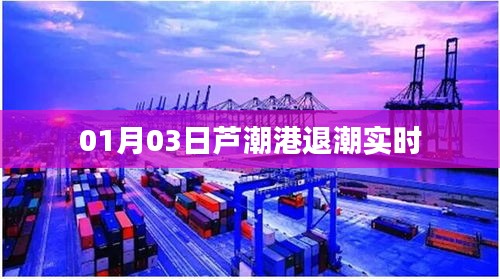 芦潮港退潮时间实时更新通知