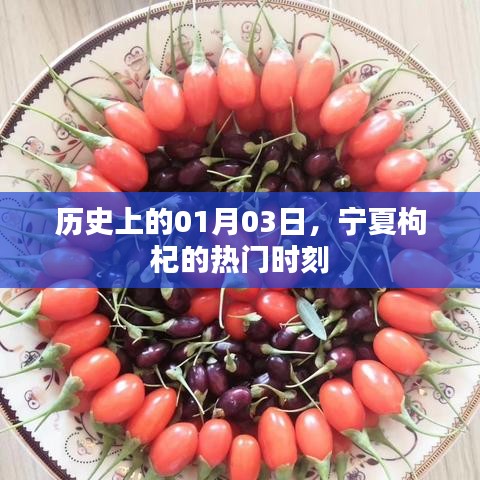 宁夏枸杞热门时刻，历史一月三日回顾