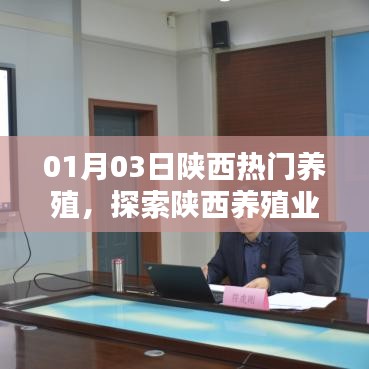 陕西养殖新机遇与挑战，热门养殖业探索