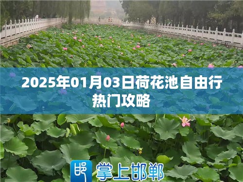 荷花池自由行指南，热门攻略一网打尽