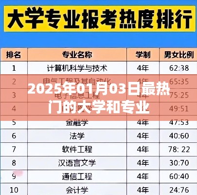 2025年热门大学与专业的趋势展望