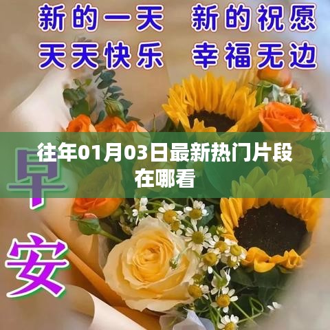 最新热门片段观看指南，日期回溯至往年一月三日