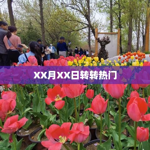 XX月XX日转转热门动态速递