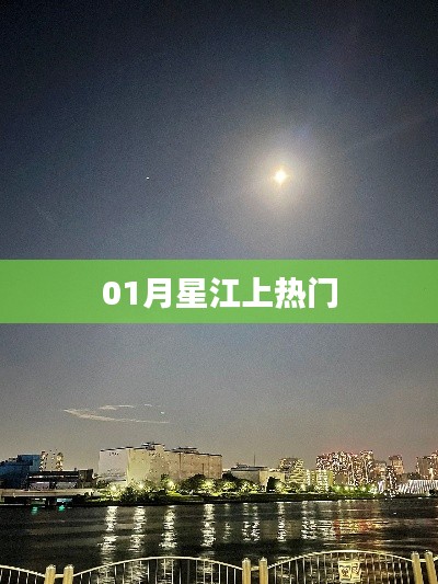 月星江新晋热门话题热议