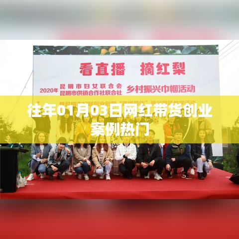 网红带货创业案例热门解析