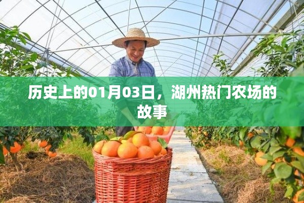 湖州农场故事揭秘，历史一月三日回顾