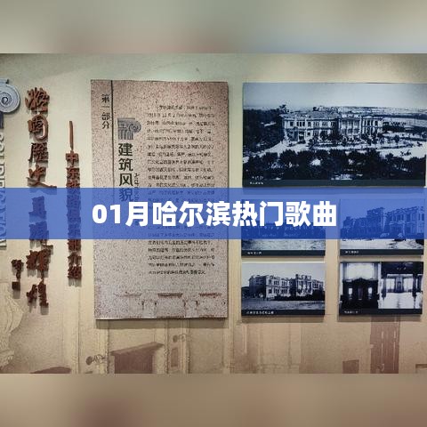 哈尔滨一月热门歌曲榜单
