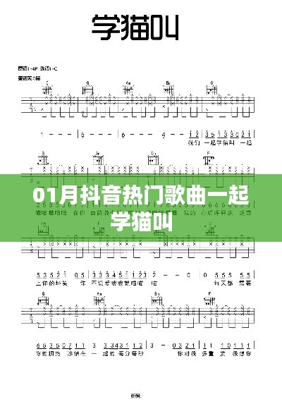 抖音热门歌曲一起学猫叫学习指南