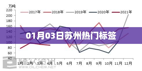 支付方式说明 第100页