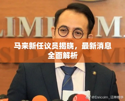 马来新任议员揭晓，最新消息全面解析