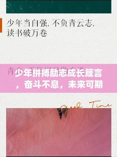 少年拼搏励志成长箴言，奋斗不息，未来可期！