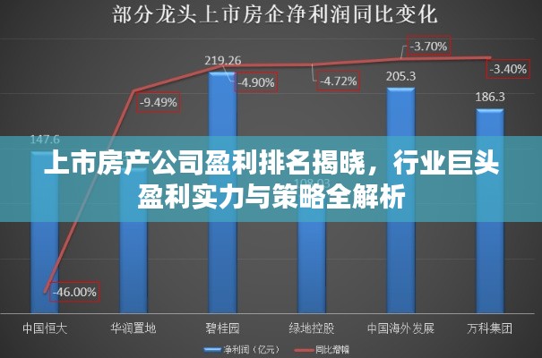 上市房产公司盈利排名揭晓，行业巨头盈利实力与策略全解析