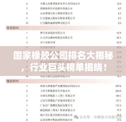 国家橡胶公司排名大揭秘，行业巨头榜单揭晓！