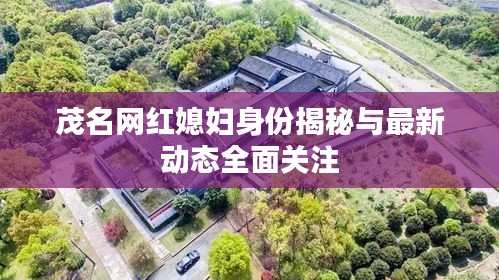 布被瓦器 第3页