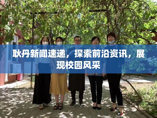 耿丹新闻速递，探索前沿资讯，展现校园风采