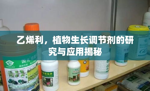乙烯利，植物生长调节剂的研究与应用揭秘