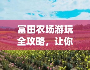 富田农场游玩全攻略，让你轻松畅游！