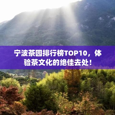 手不释卷 第3页