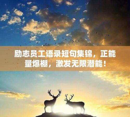 励志员工语录短句集锦，正能量爆棚，激发无限潜能！