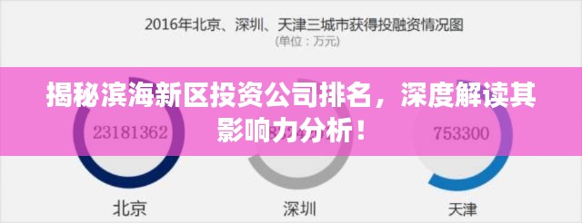 揭秘滨海新区投资公司排名，深度解读其影响力分析！