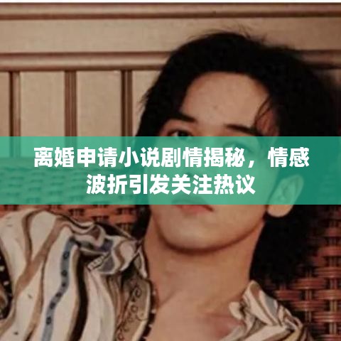 离婚申请小说剧情揭秘，情感波折引发关注热议