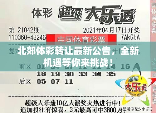 支付方式说明 第98页