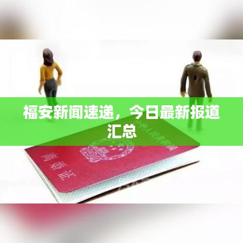 福安新闻速递，今日最新报道汇总