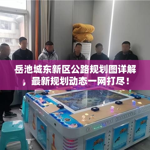 岳池城东新区公路规划图详解，最新规划动态一网打尽！
