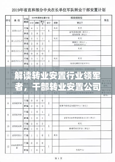 解读转业安置行业领军者，干部转业安置公司排名榜揭秘
