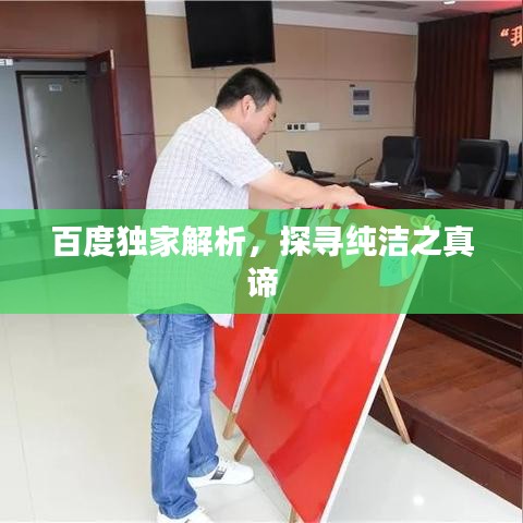 百度独家解析，探寻纯洁之真谛