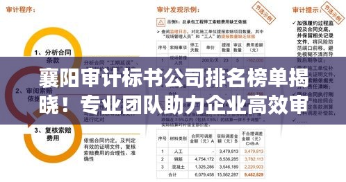 襄阳审计标书公司排名榜单揭晓！专业团队助力企业高效审计