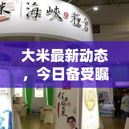 操作指南 第102页