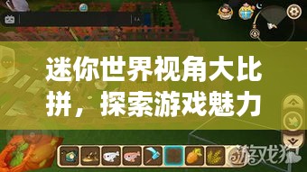 迷你世界视角大比拼，探索游戏魅力不同视角排名