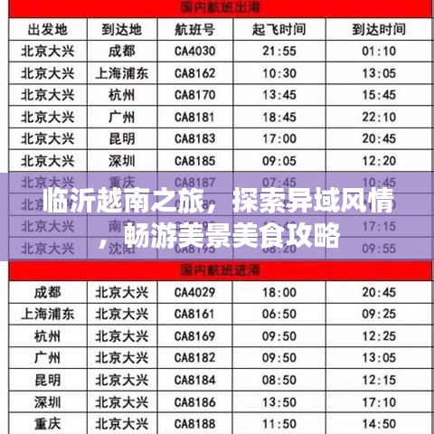 临沂越南之旅，探索异域风情，畅游美景美食攻略