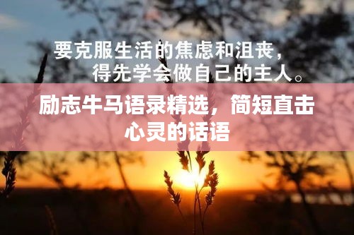 售后流程 第96页