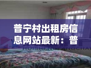 普宁村出租房信息网站最新：普宁租房子58同城 