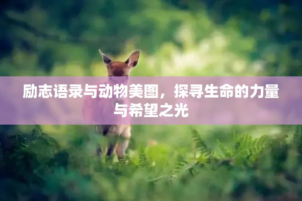 励志语录与动物美图，探寻生命的力量与希望之光