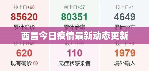 西昌今日疫情最新动态更新
