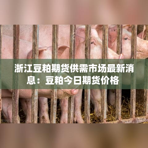 浙江豆粕期货供需市场最新消息：豆粕今日期货价格 