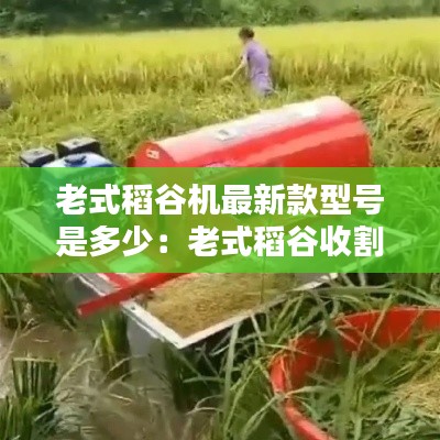 新手上路 第97页