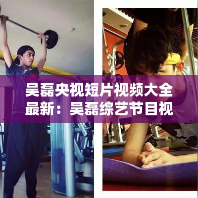 吴磊央视短片视频大全最新：吴磊综艺节目视频 