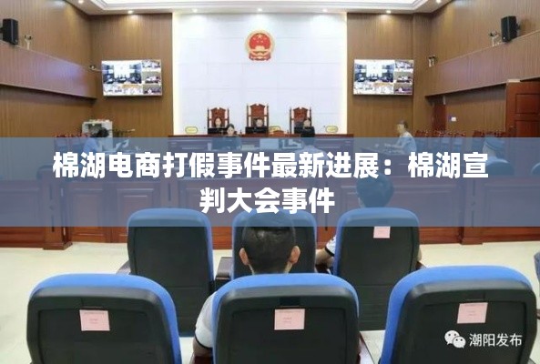 棉湖电商打假事件最新进展：棉湖宣判大会事件 