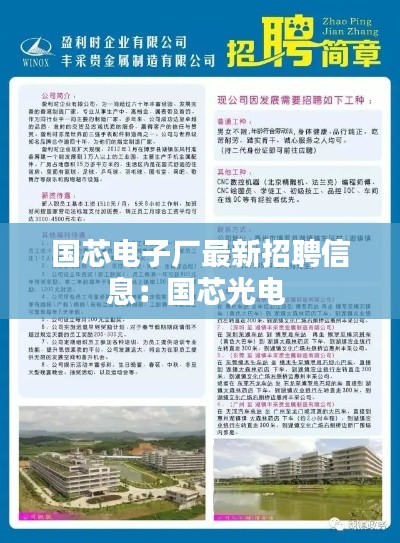 国芯电子厂最新招聘信息：国芯光电 