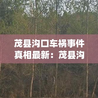 省吃细用 第2页
