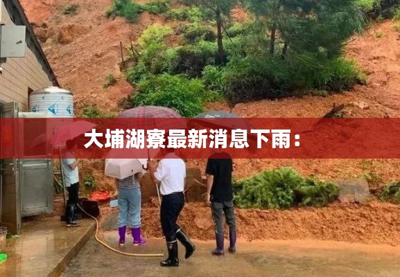 大埔湖寮最新消息下雨： 