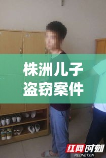 株洲儿子盗窃案件最新进展：湖南株洲盗窃案件 