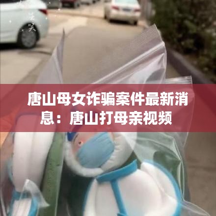 唐山母女诈骗案件最新消息：唐山打母亲视频 