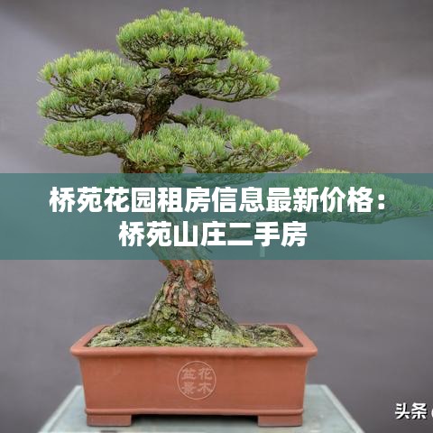 桥苑花园租房信息最新价格：桥苑山庄二手房 