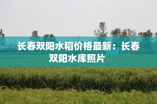 长春双阳水稻价格最新：长春双阳水库照片 